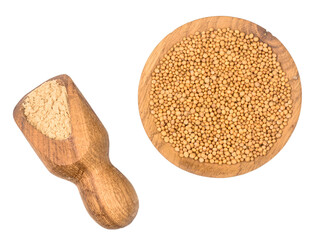 Mustard grains and mustard powder isolated on a white background