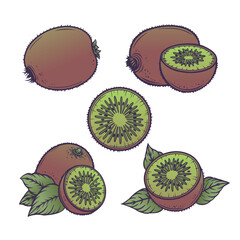 Kiwi set. Collection of tropical fruit design elements in flat line style. Vector illustration.