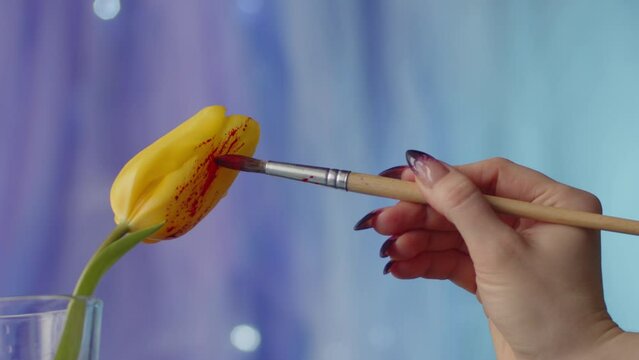 Hand with penzlik apply farba to tulip pelusts