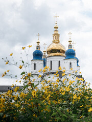 Fototapeta na wymiar Church, castle, tower, russia