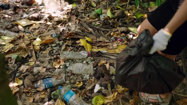 Woman in gloves clearing forest of rubbish, collects plastic bottles into trash bag for recycling. Litter, trash, garbage dump of human waste problems. Eco green activism on sunny day.