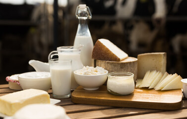 Milk, cottage cheese, cream, cheese on table against background of cows