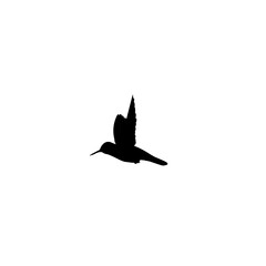 Flat vector hummingbird icon symbol. graphic design elements. Vector illustration. Hummingbird vector icon on white background. Flying hummingbird icon silhouette art illustration. You can use the we