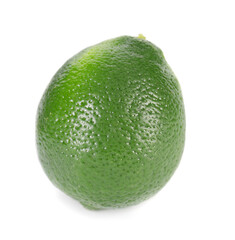 One whole fresh lime isolated on white
