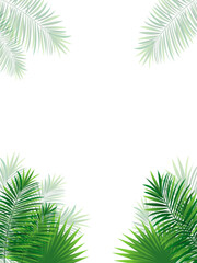 Fototapeta na wymiar Rainforest border frames with amazon plants, exotic coconut leaves. tropical cover vector illustration. Vertical tropic poster for travel, advertising card, summer holidays, beauty and fashion designs