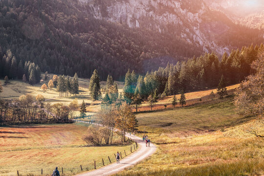 Road leading through valley in the mountains, trees and fall sunlight. Lenggries, Bavaria, Germany