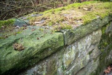 unkempt mossy quarry stone wall