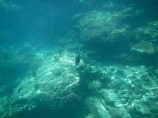 Unter Wasser
