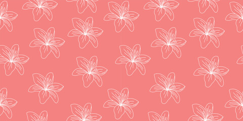 Seamless pattern of lilies. Beautiful delicate lily. Vector illustration on pink background.
