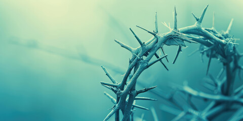 Crown of Thorns with copy space, banner template. Artistic close-up of a Crown of Thorns, evoking spiritual reflection. - obrazy, fototapety, plakaty