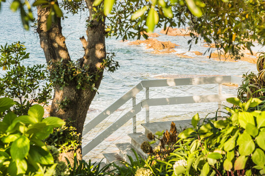 Mediterranean landscapes in summer. Corsica, France