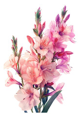 Photorealistic flowers in a digital painting look so real