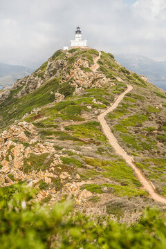 Mediterranean landscapes in summer. Corsica, France