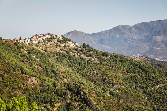Mediterranean landscapes in summer. Corsica, France