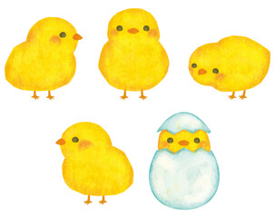 かわいいヒヨコのイラストセット © shiori