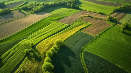 Foto op Aluminium panorama seen from above of the plain with the cultivated fields divided into geometric shapes in spring © Jennifer