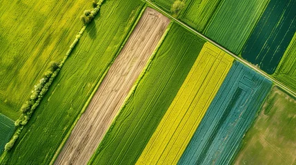 Fotobehang panorama seen from above of the plain with the cultivated fields divided into geometric shapes in spring © Jennifer
