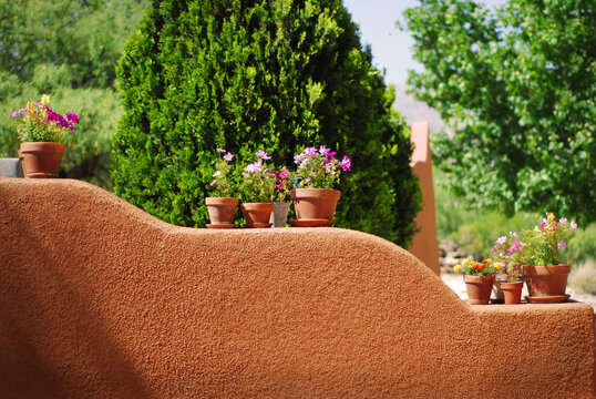 Flowers in flowerpots on wall
