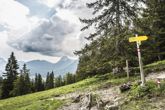 Landscape shot of mountain with forest, with snow up at top. Achenkirch, Tirol, Austria