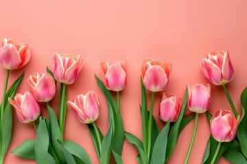 Obraz premium beautiful Tulips on peach background, wedding background, women day background, mother day background
