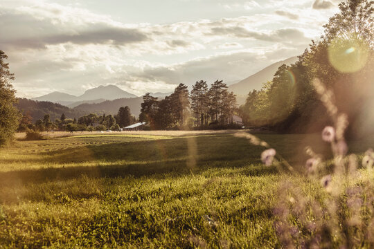 Rural Landscapes outside of Slovenien village. Mozirje, Slovenia