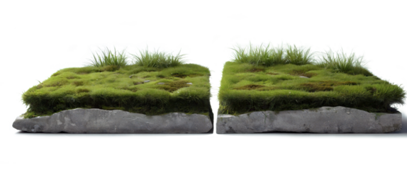 Stone slabs covered with a large layer of earth and covered with grass.