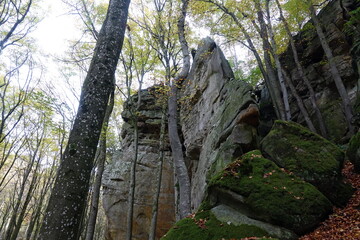 Felsen im Muellerthal