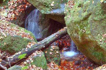 Bach im Muellerthal in Luxemburg