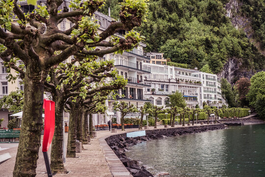 Trees and shoreline with row of houses along a lake front.