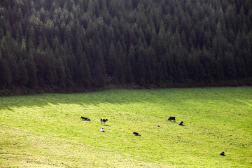 Lake seven city's or 