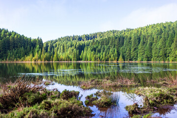 Lake canary or "Lagoa do Canário" is volcanic lake in the island of São Miguel in the Azores - Portugal, beautiful place with old trees and stunning views
