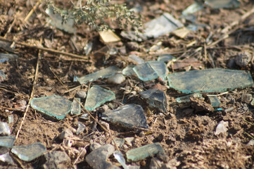 Closeup of shards of glass thrown on the ground with mud