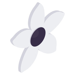 Vector design of flower petal, isometric icon 