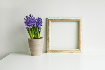 Blooming hyacinth and wooden mock up photo frame on a white table background