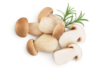 Fresh porcini cep mushroom isolated on white background. Top view. Flat lay
