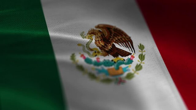 Mexico Detailed 4k Waving Flag Cloth in 3D Motion	