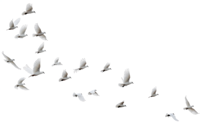 A group of doves flying in the sky, in png transparent
