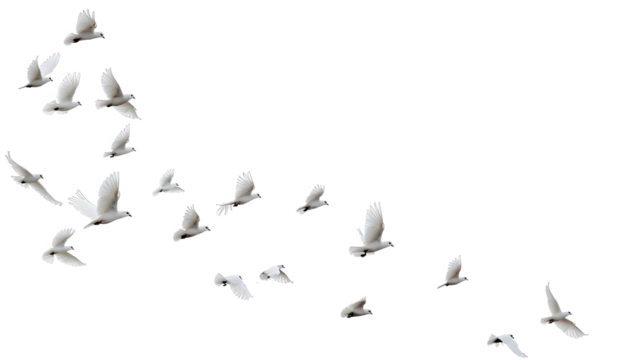 A group of doves flying in the sky, in png transparent
