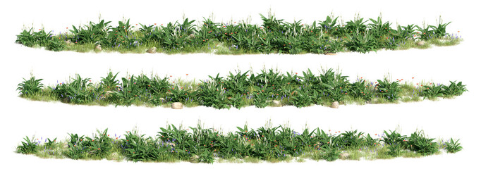ground covers, meadows, 3d rendering on transparent background