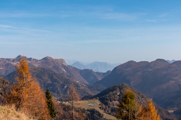 Hiking trail along golden alpine meadows and forest in autumn. Scenic view of majestic mountains of Carnic Alps in Sauris di Sopra, Friuli Venezia Giulia, Italy. Tranquil atmosphere in Italian Alps