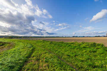 Beautiful view of pathway winding on green grass along plowed farmland, against backdrop of blue sky with clouds. Sweden.