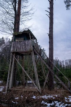 Latvia landscape with winter forest, handmade wooden hunting or observing tower between coniferous trees near slippery forest road