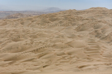 sand dunes in the desert