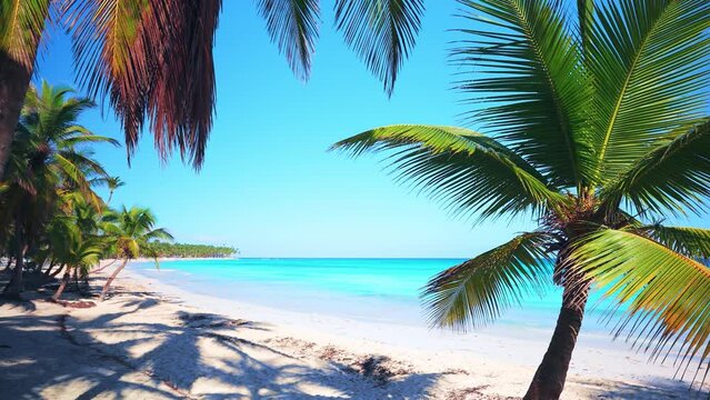 The ideal landscape backdrop for a relaxing Maldives holiday. Sea tropical beach with white sand. Bright palm trees and turquoise ocean against the blue sky on a sunny summer day.