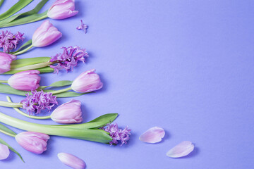 Obraz na płótnie Canvas spring flowers on purple paper background