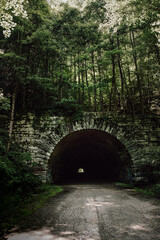 Fototapeta na wymiar Durch den bewaldeten Tunnel