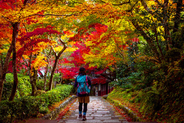 Autumn foliage in Kyoto.