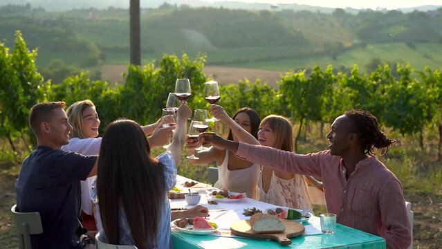Group of multiracial friends cheering with red wine during pic nic at vineyard - Summer, people and lifestyle concept