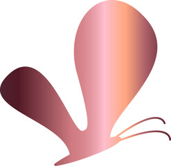 Butterfly gradient decoration and design.