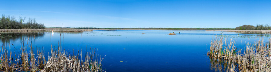 Panorama of a conservation area pond with blue sky and still water